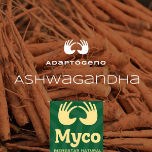 Myco - Ashwagandha En Gotas X 60 Ml